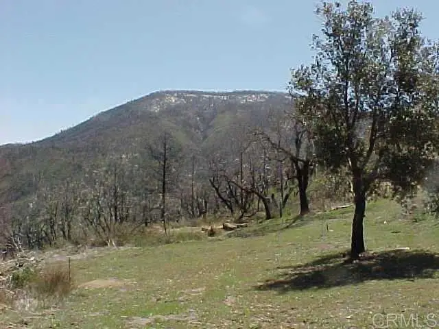Penstemon Rd, Julian, CA 92036 - #3