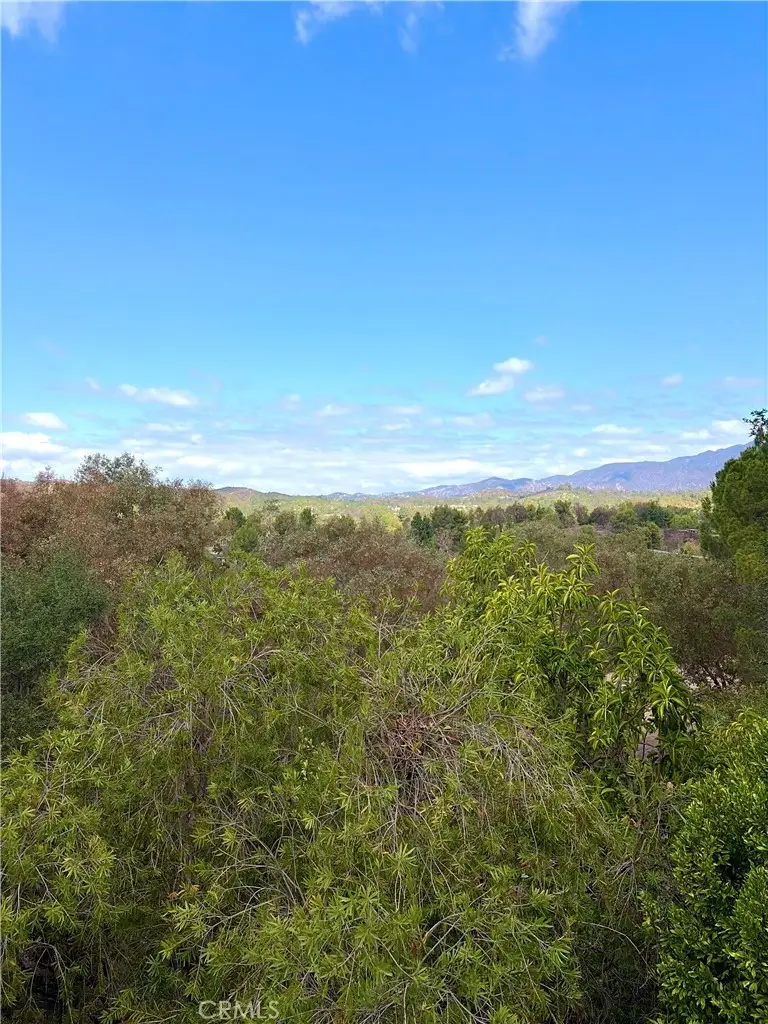 31801 Via Pato, Coto De Caza, CA 92679 - #2