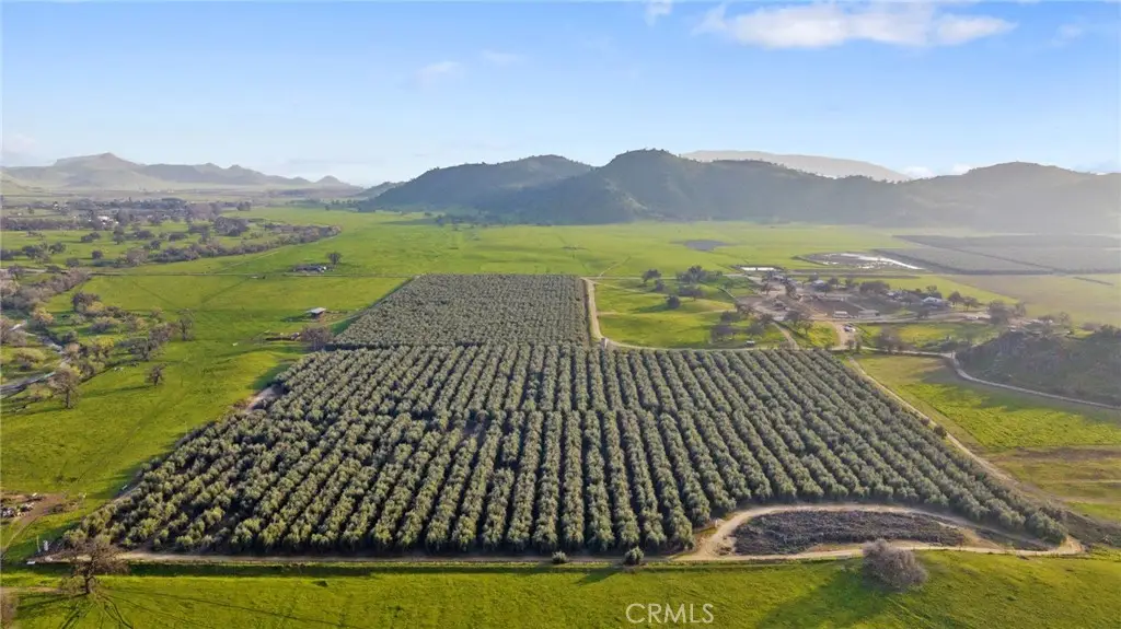 19400 398, Woodlake, CA 93286 - #1