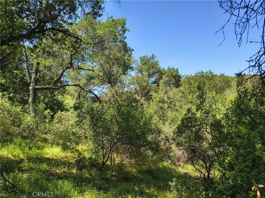 0 Seven Oaks, Santa Margarita, CA 93453 - #3