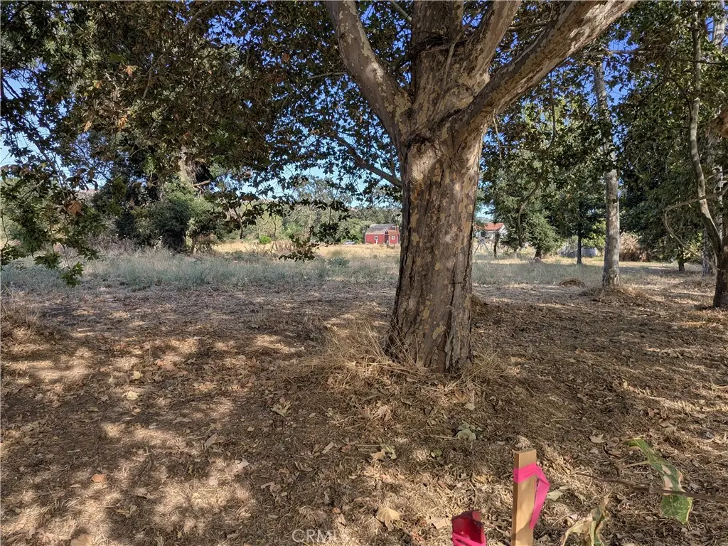 038 Sycamore Rd, Atascadero, CA 93422 - #1