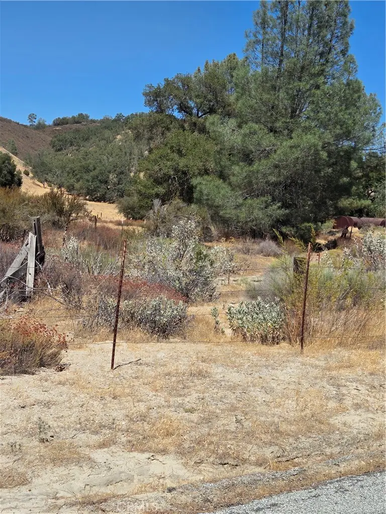 71903 Vineyard Canyon Road, San Miguel, CA 93451 - #2