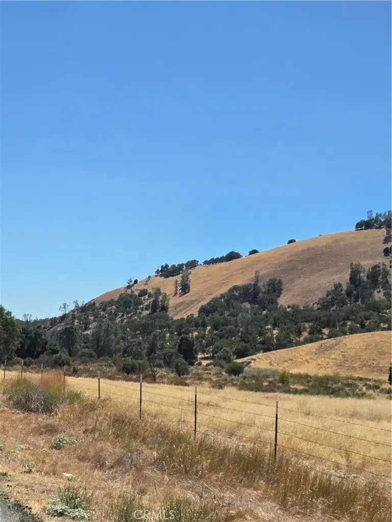 71903 Vineyard Canyon Road, San Miguel, CA 93451 - #3