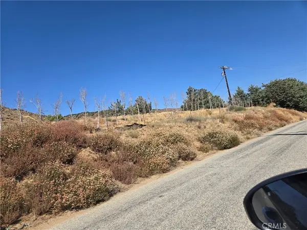 9197 Northside Drive, Leona Valley, CA 93551