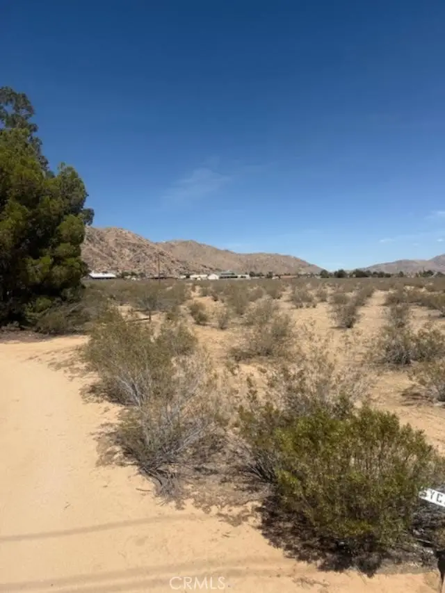0 Ocotilla, Apple Valley, CA 92307 - #1