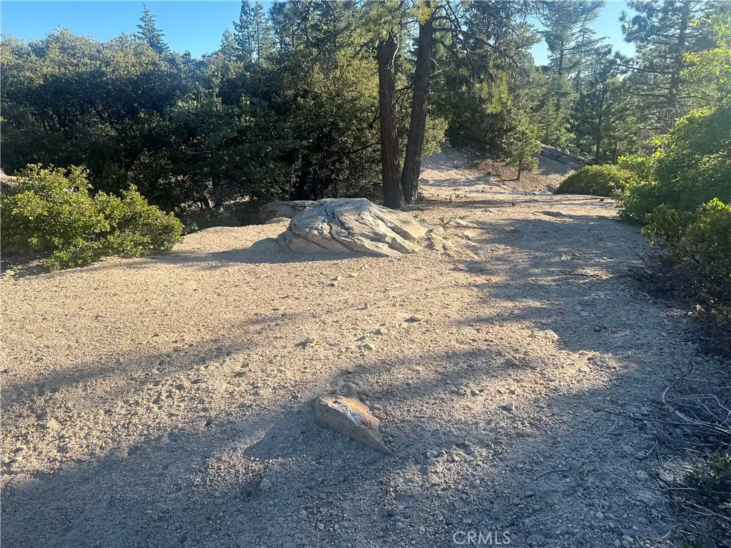 15 Tank Road, Running Springs, CA 92382 - #1