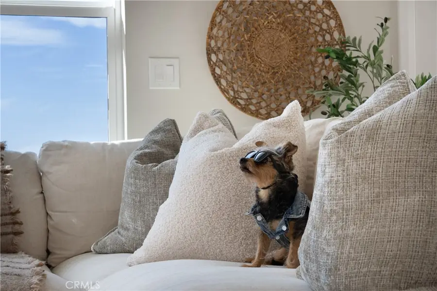 24471 Los Serranos Drive, Laguna Niguel, CA 92677 - Image #3