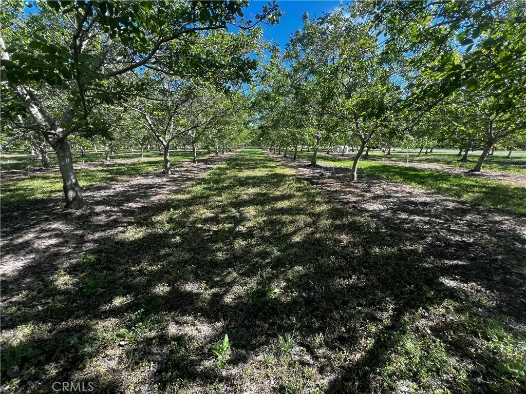 4180 County 203 Road, Hamilton City, CA 95951 - #1