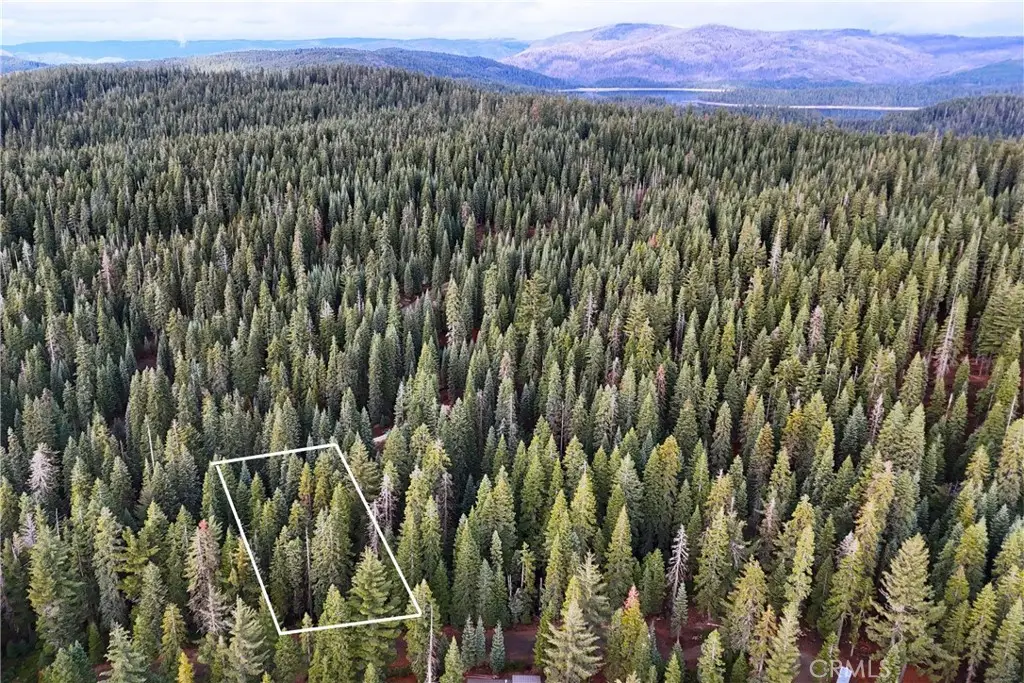 1100 Cleghorn Drive, Quincy, CA 95971 - Image #1