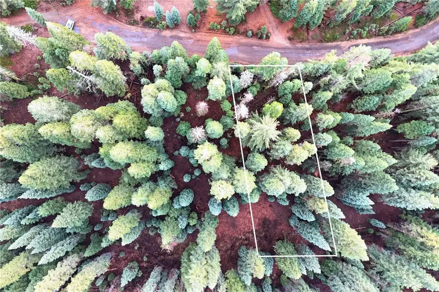 1100 Cleghorn Drive, Quincy, CA 95971 - Image #3