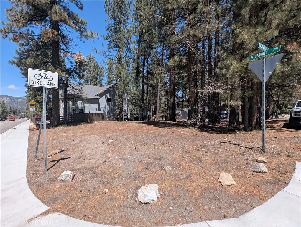 689 Summit Boulevard, Big Bear Lake, CA 92315 - #1