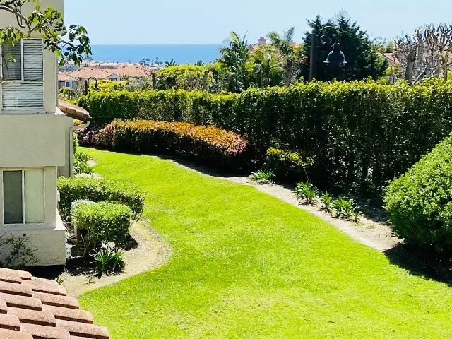 60 Corniche Dr #E, Dana Point, CA 92629 - #2