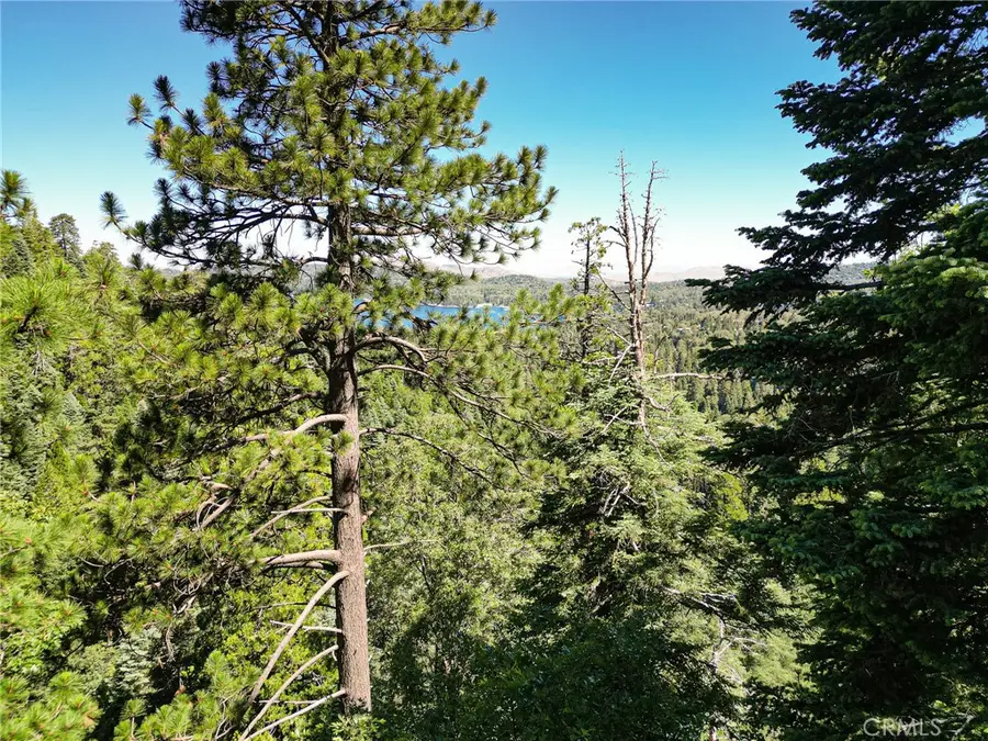 746 Blue Ridge Drive, Lake Arrowhead, CA 92385 - #2