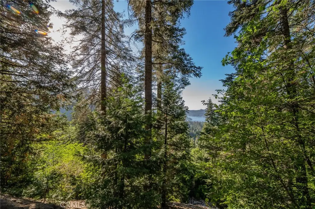 716 Blue Ridge Drive, Lake Arrowhead, CA 92385 - #1
