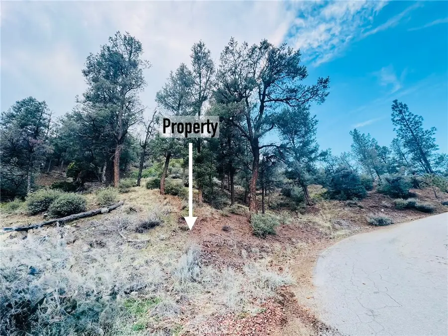 0 0, Frazier Park, CA 93225 - #2