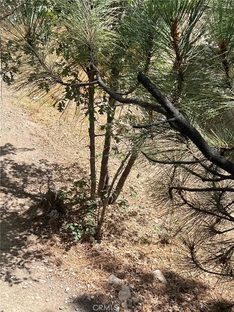 0 Robin, Running Springs, CA 92382 - #1