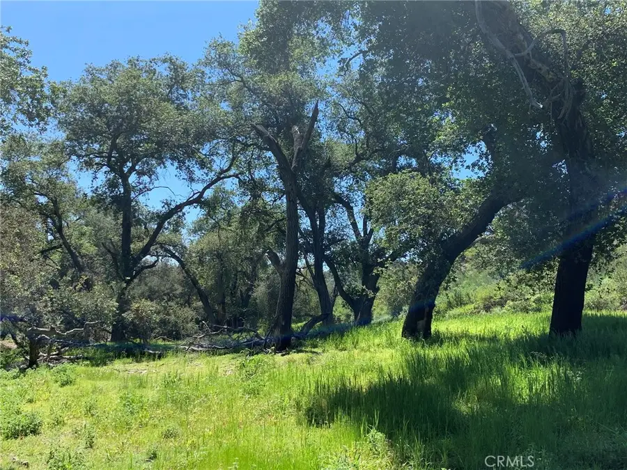 30221 Old Stage Road, Trabuco Canyon, CA 92676 - #3
