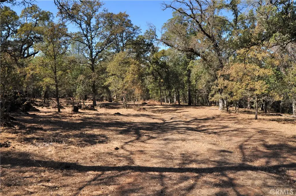 205 Cynthiann Lane, Oroville, CA 95966 - #1