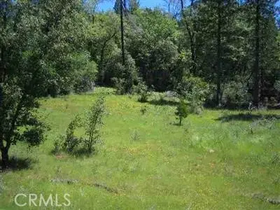 13 Beloved Way, Dobbins, CA 95935 - Image #2