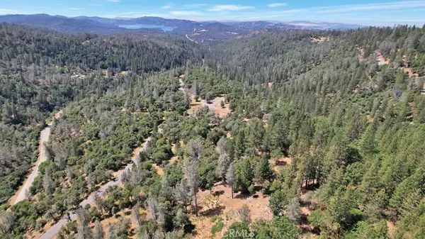 14818 Willow Glen Road, Brownsville, CA 95919