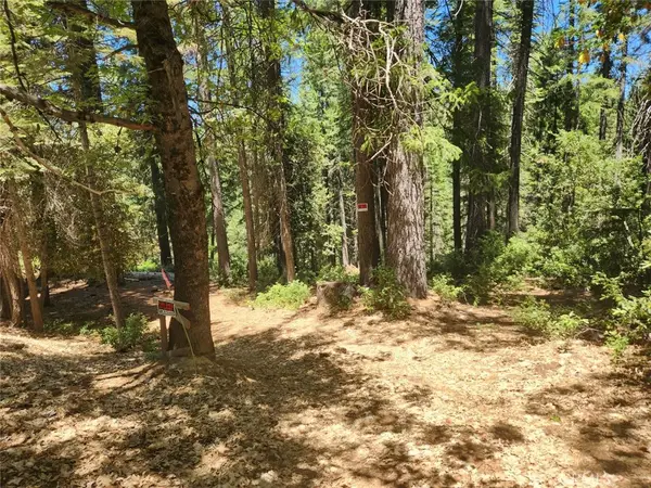 6296 Merry Way, Clipper Mills, CA 95930