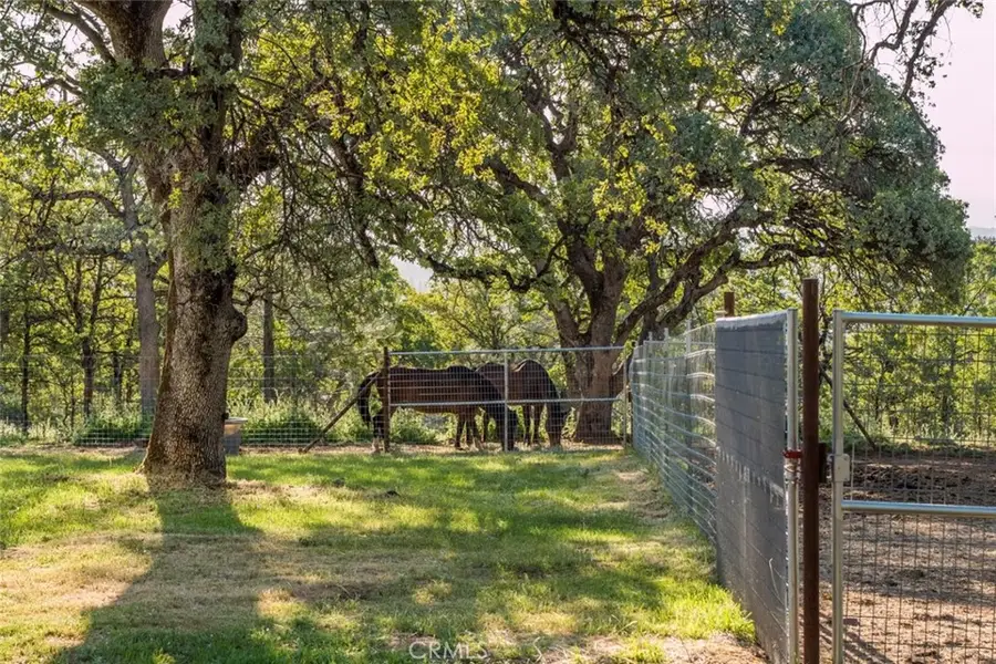 9051 Regent Way, Oregon House, CA 95962 - #3