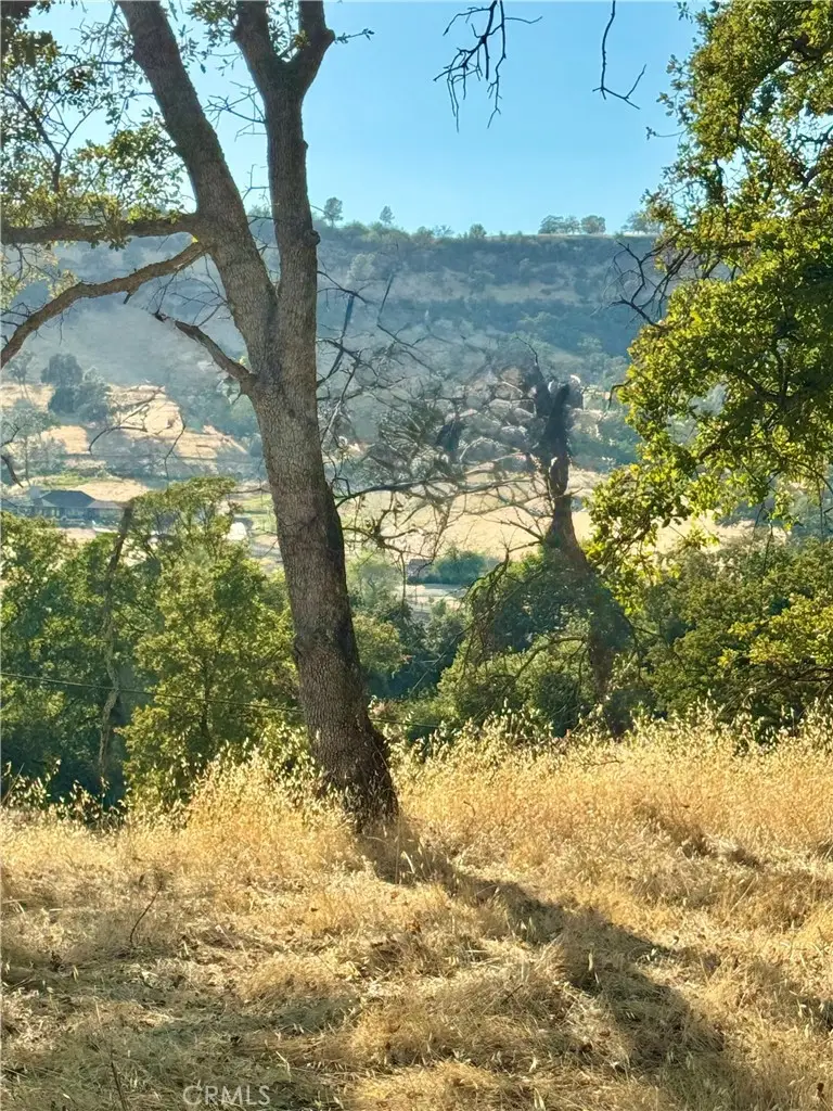 3258 Dry Creek Road, Oroville, CA 95965 - #1