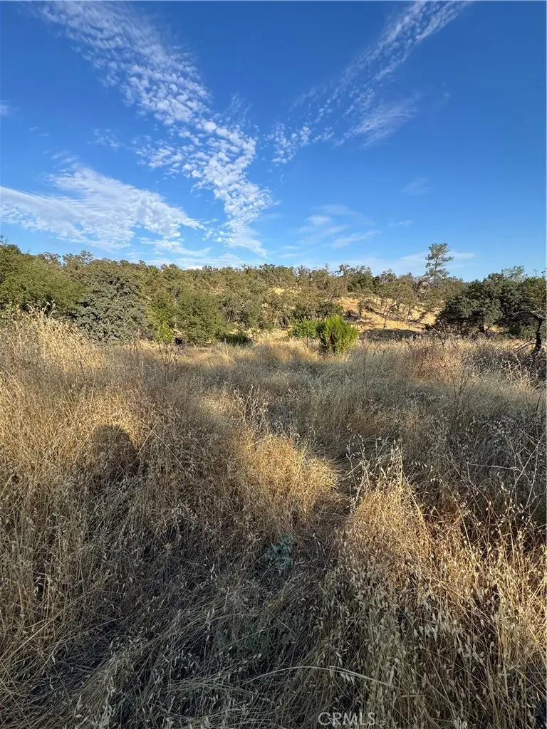 3258 Dry Creek Road, Oroville, CA 95965 - #3