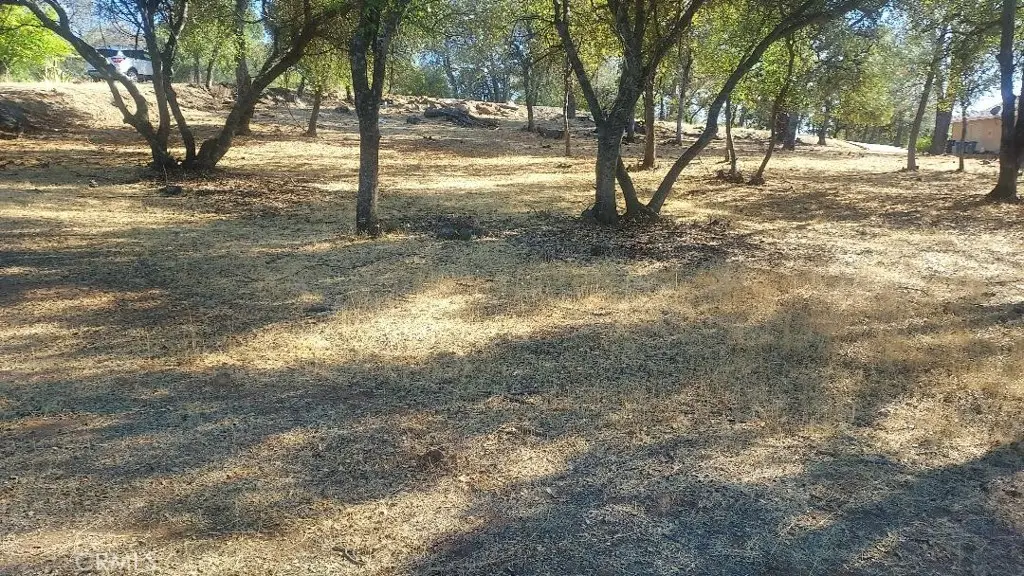 307 Lodgeview Drive, Oroville, CA 95966 - #1