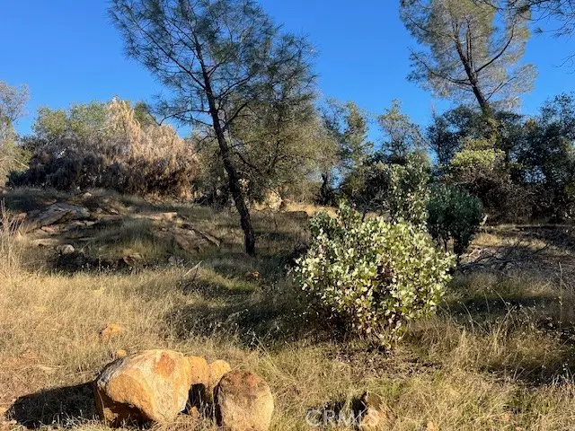 0 Swedes Flat Road, Oroville, CA 95966 - Image #3