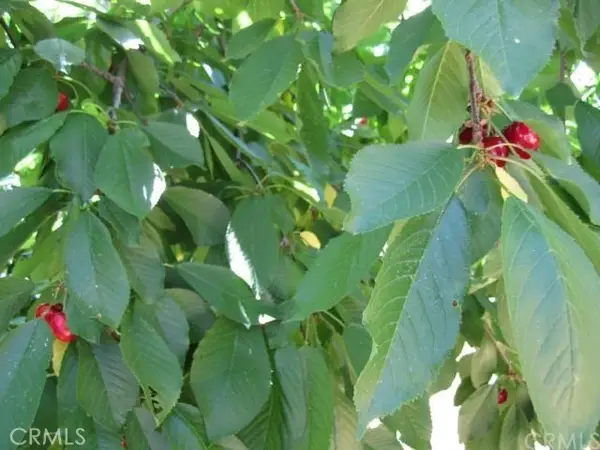 6636 Dolores, Paradise, CA 95969