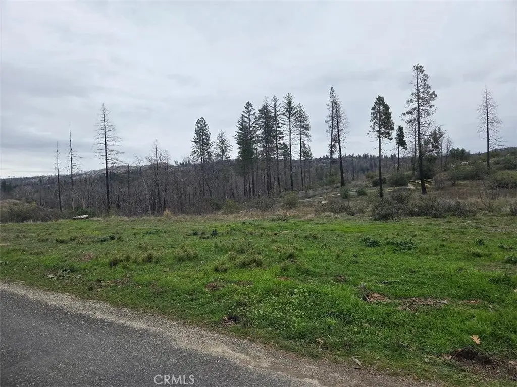 259 Rockerfeller Road, Berry Creek, CA 95916 - #1