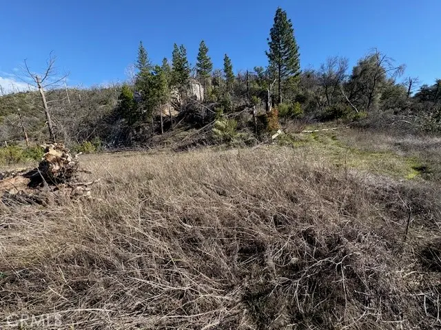 8870 Oro Quincy, Berry Creek, CA 95916 - #2