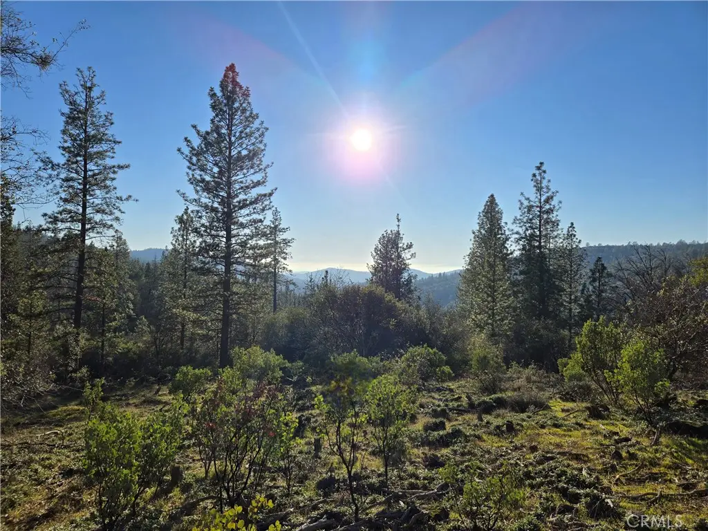 0 Double Eagle Way, Brownsville, CA 95919 - #1