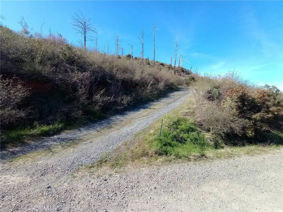 0 Bardees Bar, Concow, CA 95965 - #2