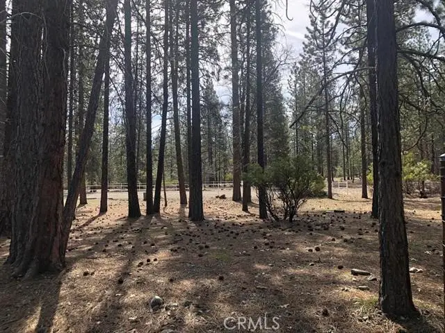 0 Red Cedar Ct, Etna, CA 96027 - #2
