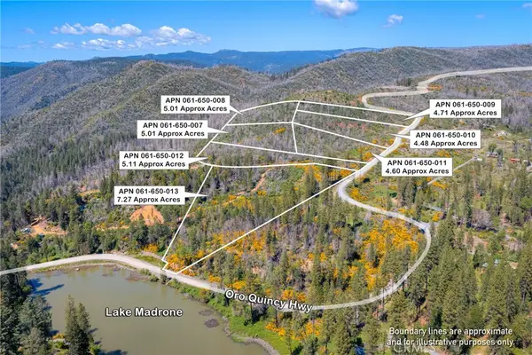 0 Pavlik Pines Road, Berry Creek, CA 95916