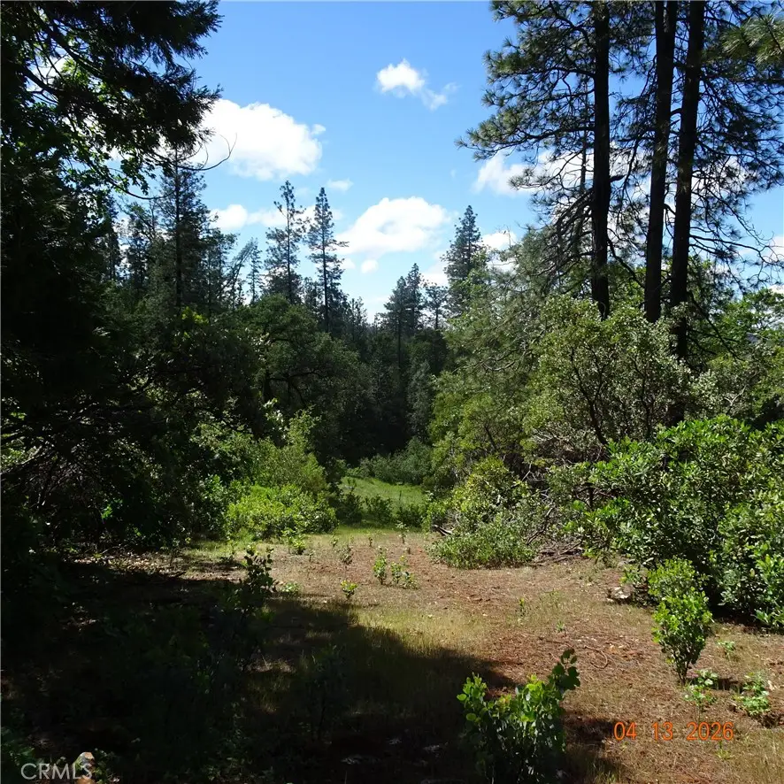0 Powell Ridge, Oroville, CA 95966 - #1