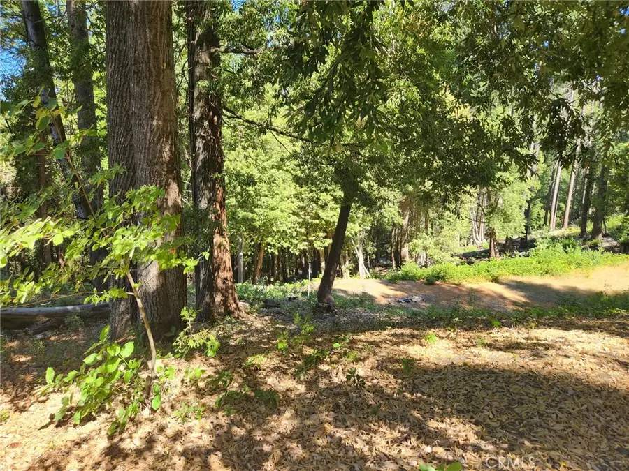 11157 Breezy Boulevard, Clipper Mills, CA 95930 - #2