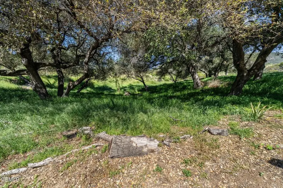 4700 Rising Hill Road, Altadena, CA 91001 - #2