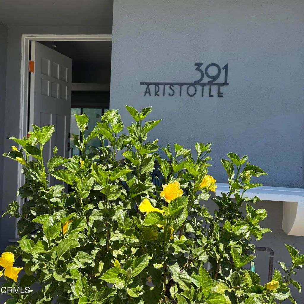 391 Aristotle Street, Simi Valley, CA 93065 - #1