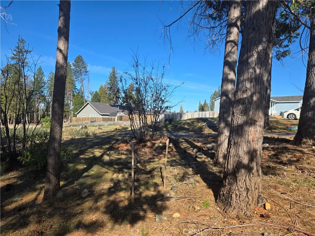 13891 Carver Drive, Magalia, CA 95954 - #1