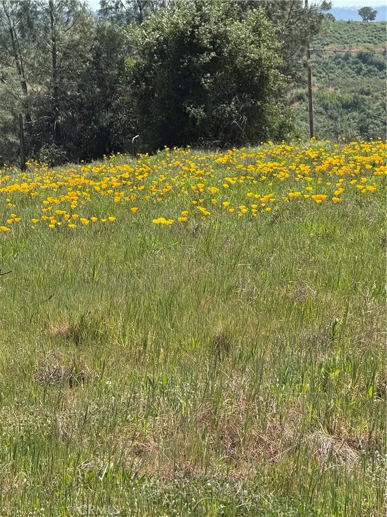 0 Round Valley Ranch, Paradise, CA 95969 - #1