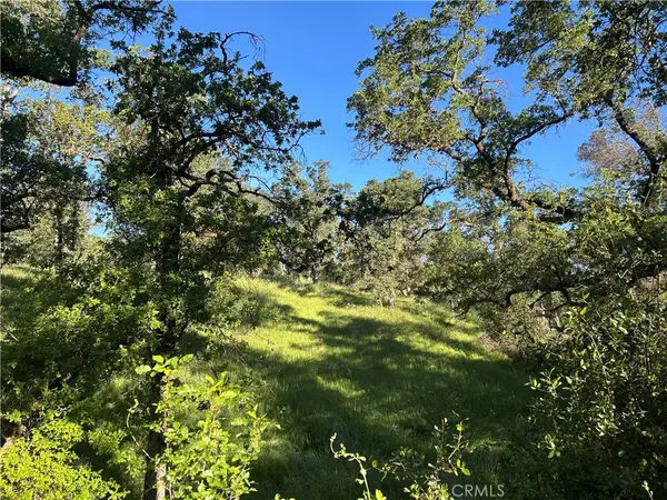 0 Rolling Oaks, Bangor, CA 95901
