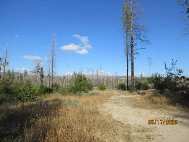 95 Shane Court, Berry Creek, CA 95916 - #1