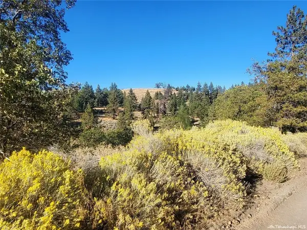 16851 Interlaken Street, Tehachapi, CA 93561