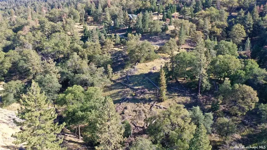16851 Interlaken Street, Tehachapi, CA 93561 - #3
