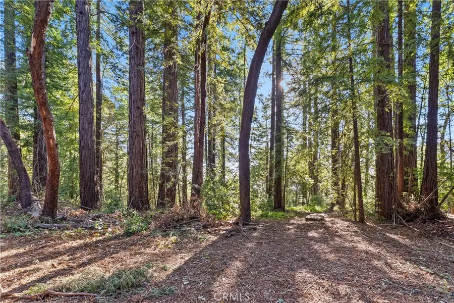 4419 Trout Gulch, Aptos, CA 95003 - #3
