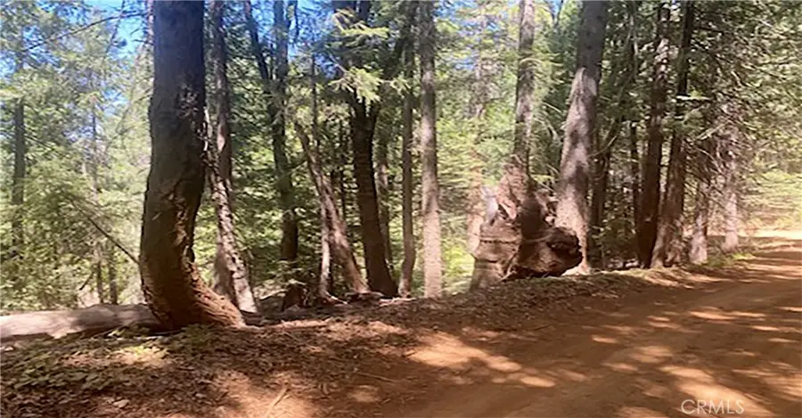 15052 Red Hill Spring Road, Nevada City, CA 95959 - #2