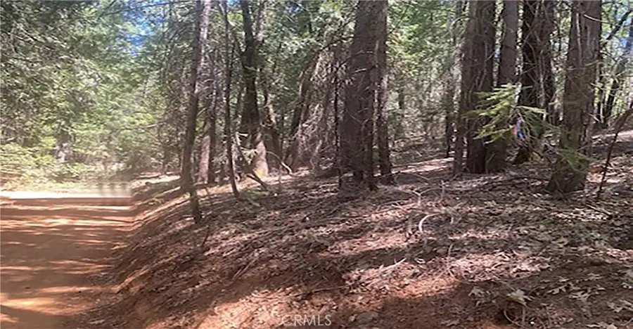 15052 Red Hill Spring Road, Nevada City, CA 95959 - #3